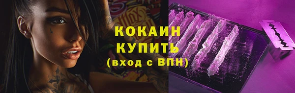 стаф Новозыбков