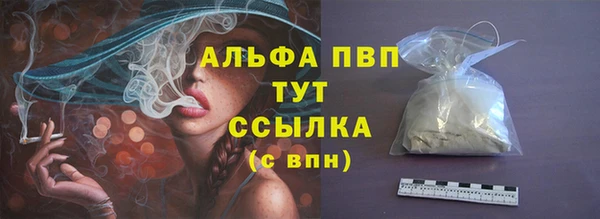 стаф Новозыбков