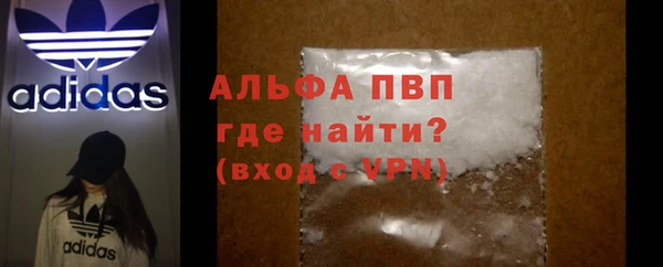 стаф Новозыбков