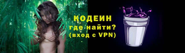 стаф Новозыбков