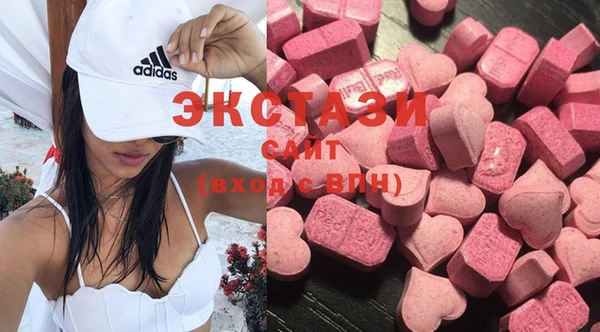 стаф Новозыбков