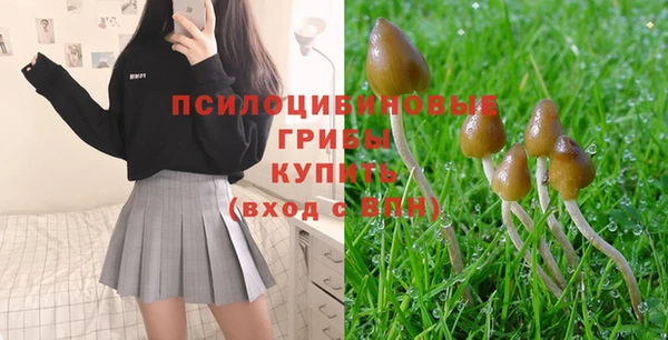 стаф Новозыбков