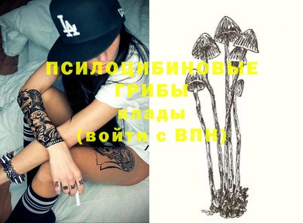 дурь Нея