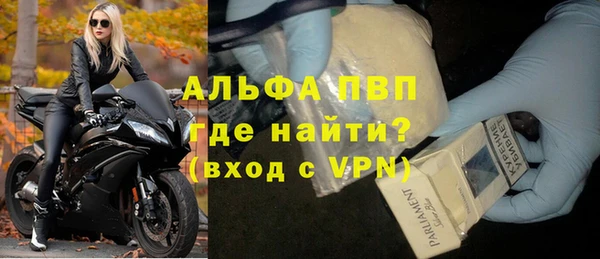 стаф Новозыбков