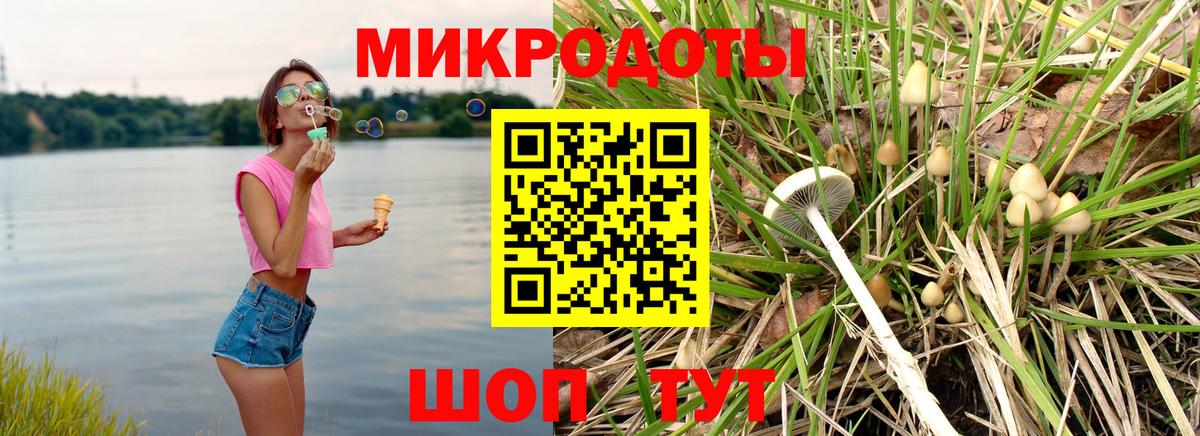 Псилоцибиновые грибы мицелий Морозовск