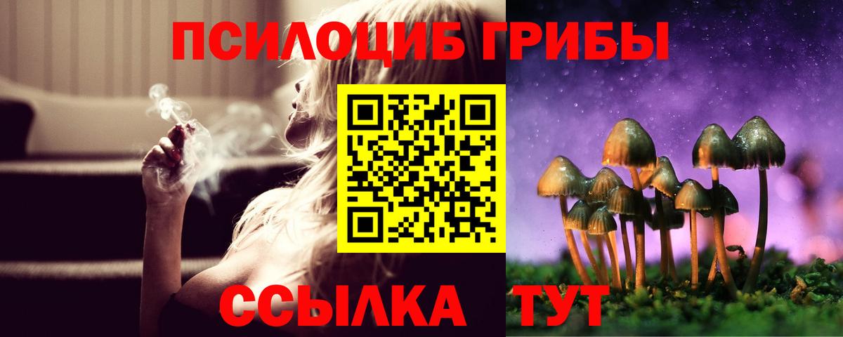 Морозовск  Галлюциногенные грибы MAGIC MUSHROOMS  Вход с VPN  Псилоцибиновые грибы Psilocybe 